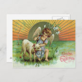Angel Cherub Sun Lamb Schaap Briefkaart (Voorkant / Achterkant)