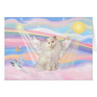 Angel de chat perse blanc dans les nuages