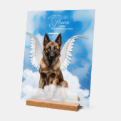 Angel de chien Tervuren belge avec nom Pet Memoria (Angle)