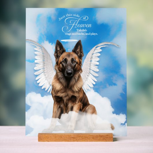 Angel de chien Tervuren belge avec nom Pet Memoria (Neutre)
