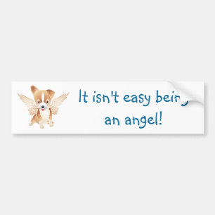 Angel Dog Jack Russell Terrier Gift Bumpersticker