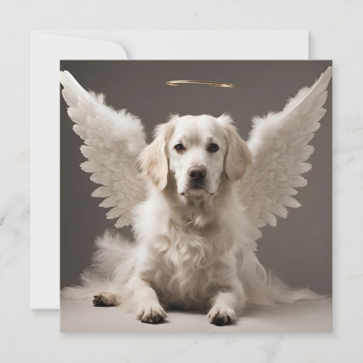 Angel Dog Kaart (Voorkant)