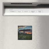 Angel Du Magnet Du Nord (In Situ (Lave-vaisselle))