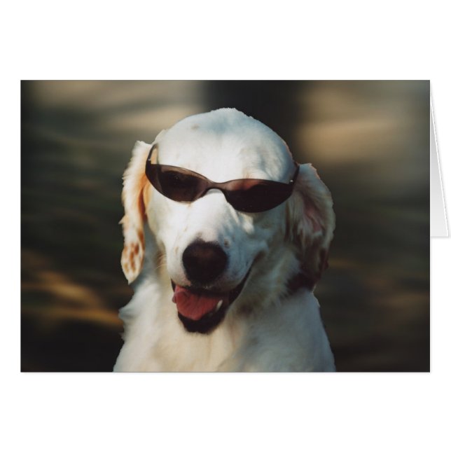 Angel Eyes (Devant horizontal)