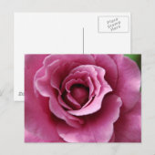 Angel Face II-Briefkaart Briefkaart (Voorkant / Achterkant)