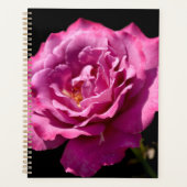 Angel Face Roos Up-Close Planner (Voorkant)