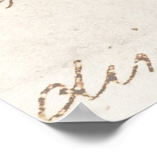 Angel Fish Antiek Hawaiian Print Sjabloon (Hoek)