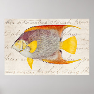 Angel Fish Antiek Hawaiian Print Sjabloon