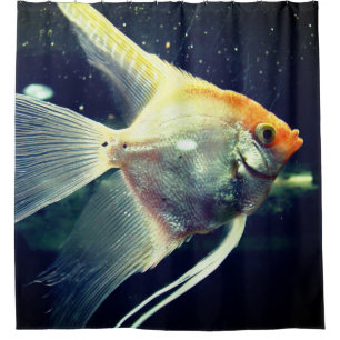 Angel Fish Douchegordijn