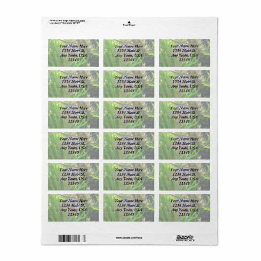 Angel Fish Label (Full Sheet)