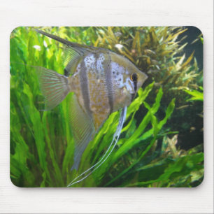 Angel Fish Mousepad Muismat