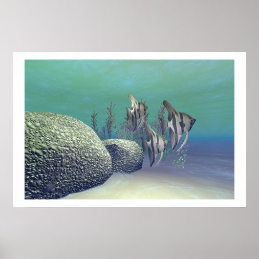 ANGEL FISH PRINT (Voorkant)