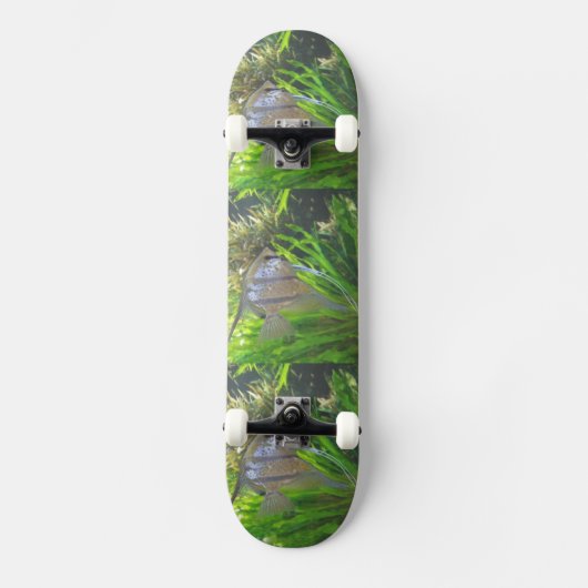 Angel Fish Skateboard (Voorkant)