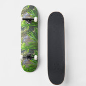 Angel Fish Skateboard (Voorkant)