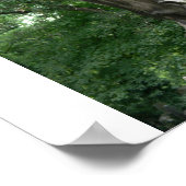 Angel Gravestone Poster (Hoek)