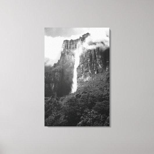 Angel-Herfsten in zwart-wit Canvas Afdruk (Voorkant)