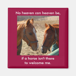 Angel Horses - magnet Magneet