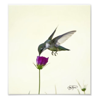 Angel in de vlucht Fotografische Kunst Foto Afdruk