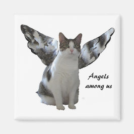 Angel Kat Magnet Magneet