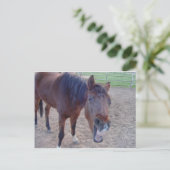 Angel Laugh Briefkaart (Staand voorkant)