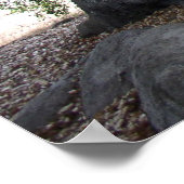 Angel Light Poster (Hoek)