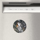 ANGEL MAGNEET (Insitu (Vaatwasser))