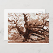 Angel Oak Briefkaart (Voorkant / Achterkant)
