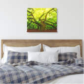 Angel Oak Canvas Afdruk (Insitu (Slaapkamer))