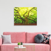 Angel Oak Canvas Afdruk (Insitu (Woonkamer))
