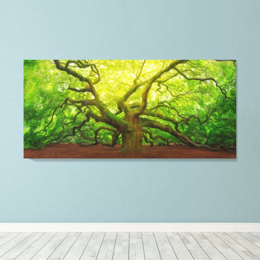 Angel Oak Canvas Afdruk (Insitu (Houten vloer))