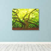 Angel Oak Canvas Afdruk (Insitu (Houten vloer))