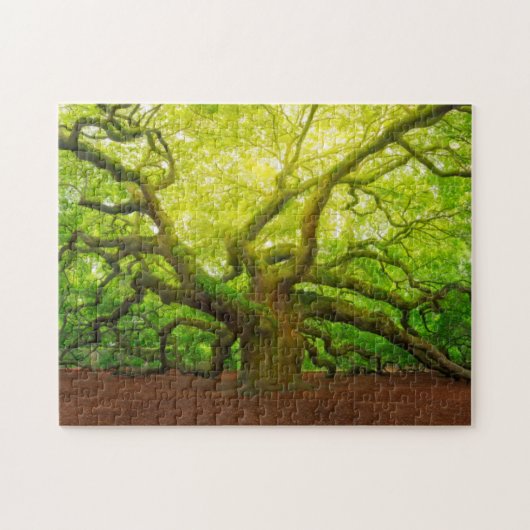 Angel Oak Legpuzzel (Horizontaal)