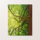 Angel Oak Legpuzzel (Verticaal)