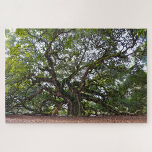 Angel Oak, South Carolina Legpuzzel