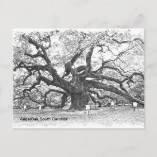 Angel Oak Tree Briefkaart