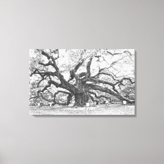 Angel Oak Tree Canvas Afdruk
