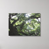 Angel Oak Tree Canvas Print (Voorkant)