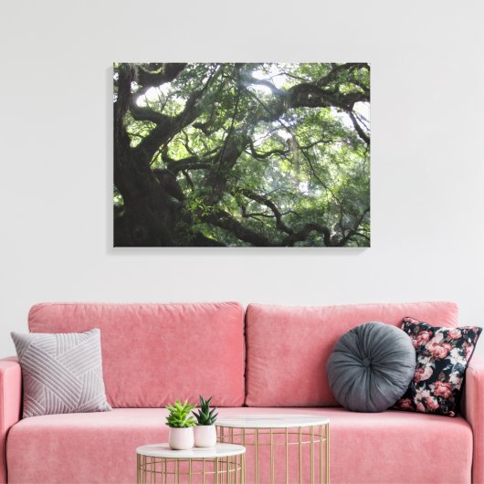 Angel Oak Tree Canvas Print (Insitu (Woonkamer))