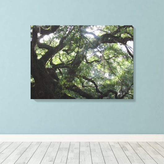 Angel Oak Tree Canvas Print (Insitu (Houten vloer))