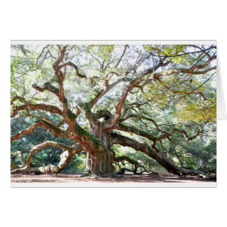 Angel Oak Tree Gifts