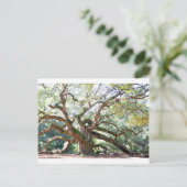 Angel Oak Tree Gifts Briefkaart (Staand voorkant)