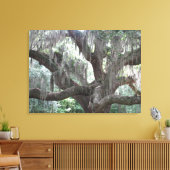 Angel Oak van Johns Island Canvas Afdruk (Insitu (Woonkamer))