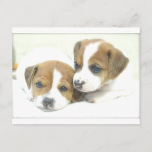 Angel Puppies Briefkaart