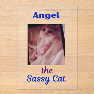 Angel the Sassy Cat Acrylic Invitations Acryl Uitnodigingen