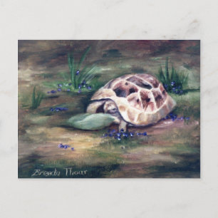Angel Tortoise Briefkaart