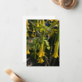 Angel Trumpet Notitiekaartje (Voorkant / Achterkant in situ)