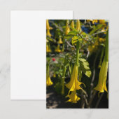 Angel Trumpet Notitiekaartje (Voorkant / Achterkant)