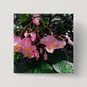 Angel Wing Begonias Vierkante Button 5,1 Cm
