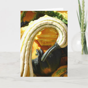 Angel Wing Gourd Kaart