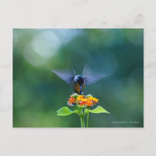 Angel Wings Briefkaart (Voorkant)